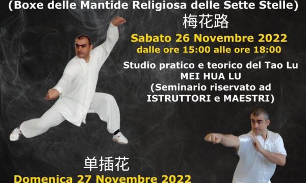 Stage Qi Xing Tang Lang Quan a Roma 26/27 novembre